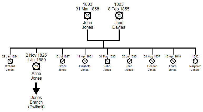 Family Tree - Jones Branch - Llandwrog