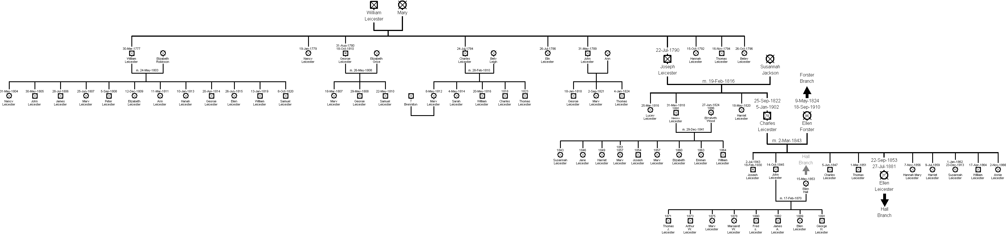 Family Tree - Leicester Branch