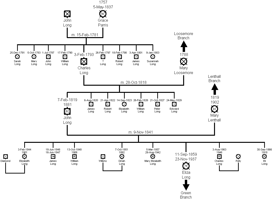 Family Tree - Long Branch
