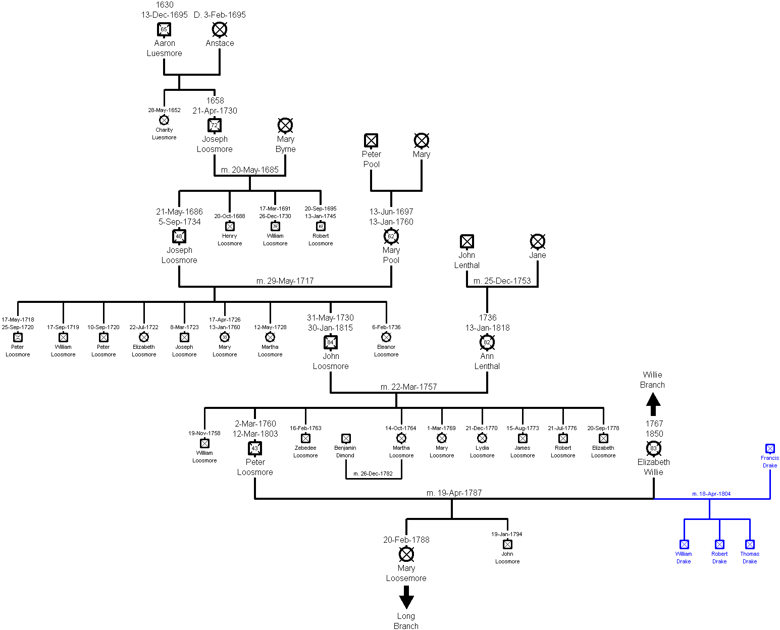 Family Tree - Loosemore Branch