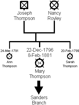 Family Tree - Thompson Branch