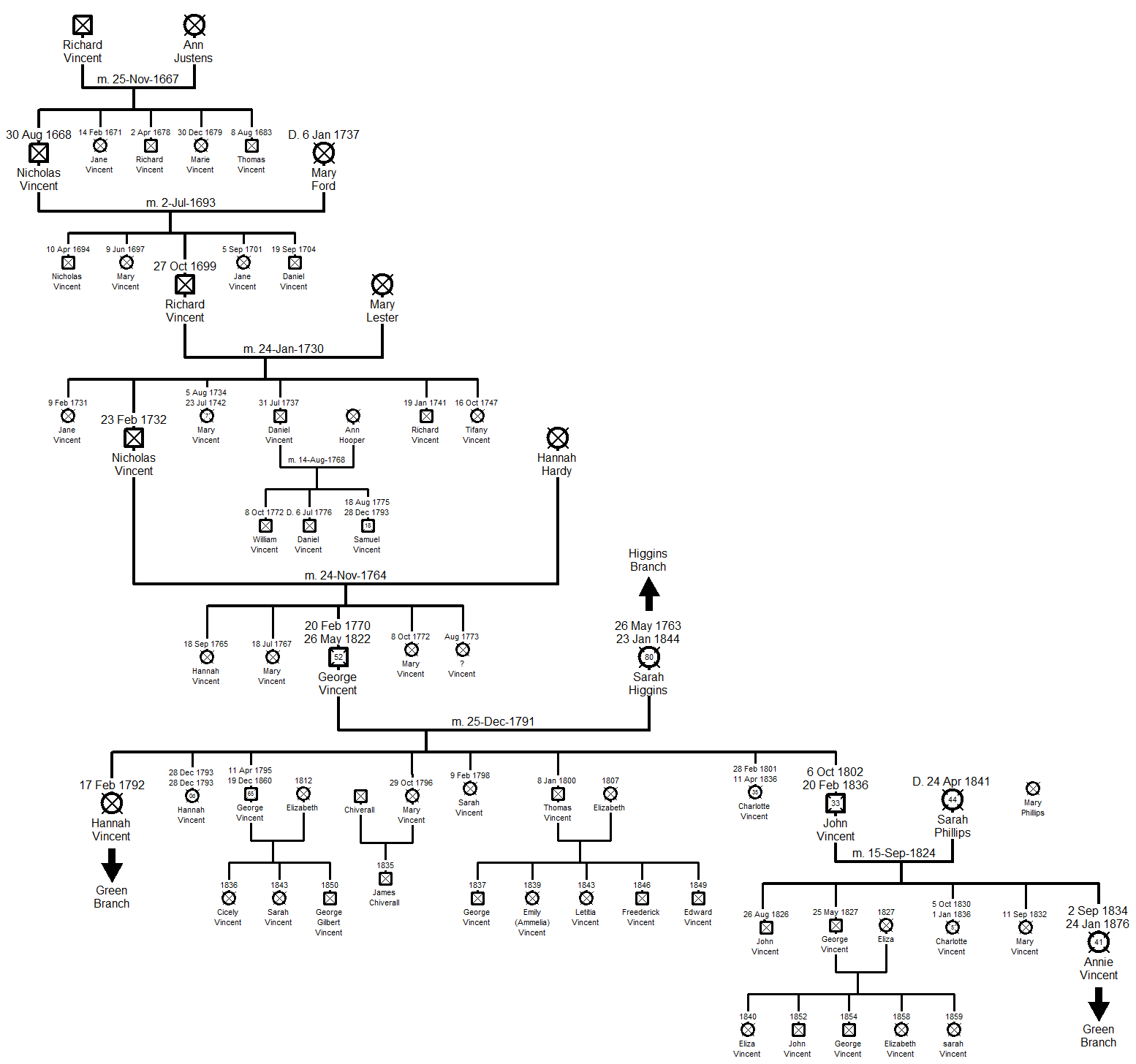 Family Tree - Vincent Branch