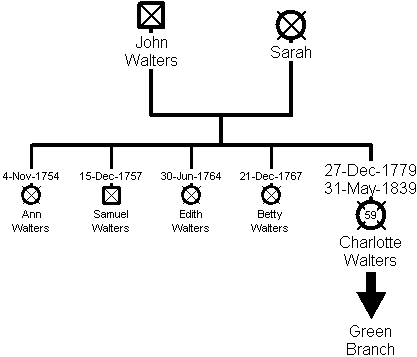 Family Tree - Walters Branch