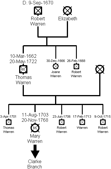 Family Tree of the Warren Branch